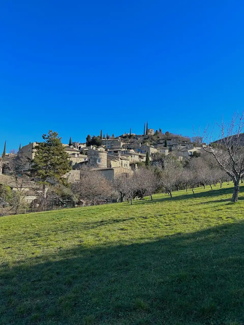 Le village perché de Mirmande au-dessus d’un verger, sous un ciel bleu