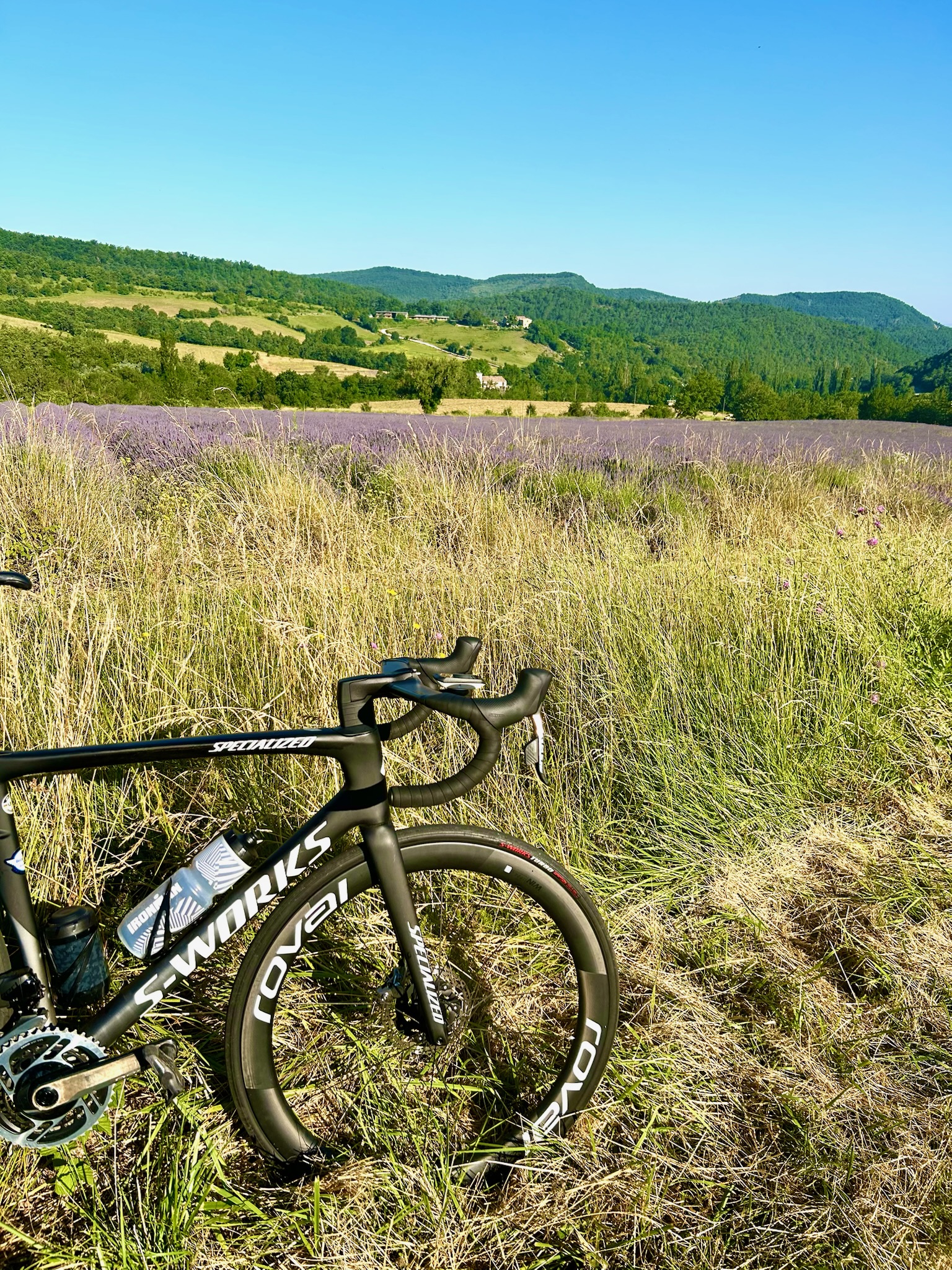 Vélo lavandes UN AIR DE TOSCANE